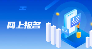 网上报名