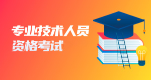 专业技术人员资格考试